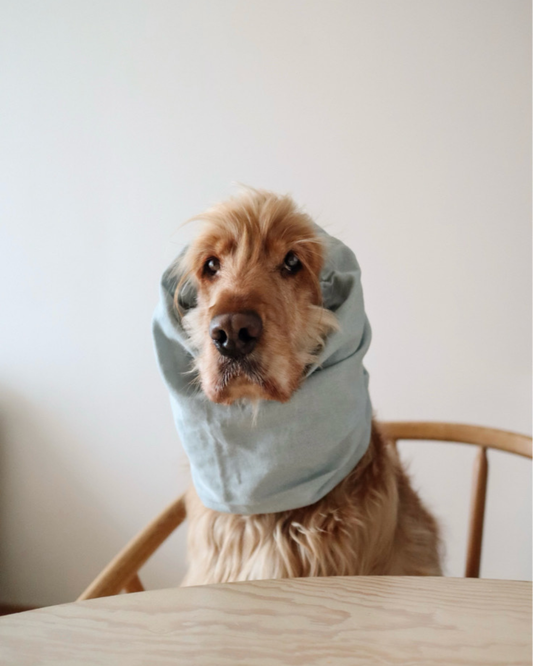 Ørette / Snood i lyseblå bomull