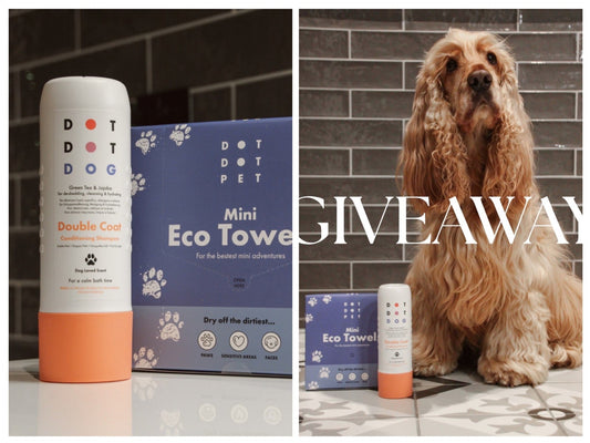 Giveaway konkurranse på Instagram