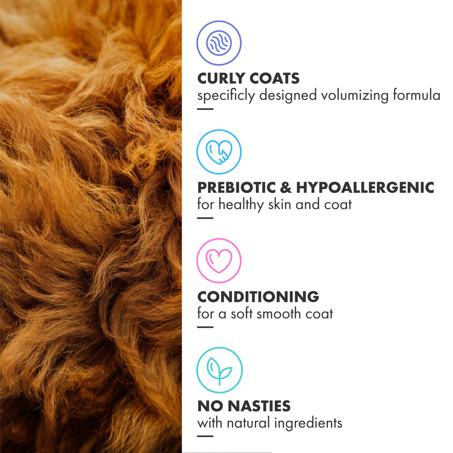 Curly Coat Shampoo