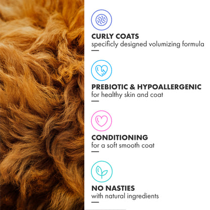 Curly Coat Shampoo