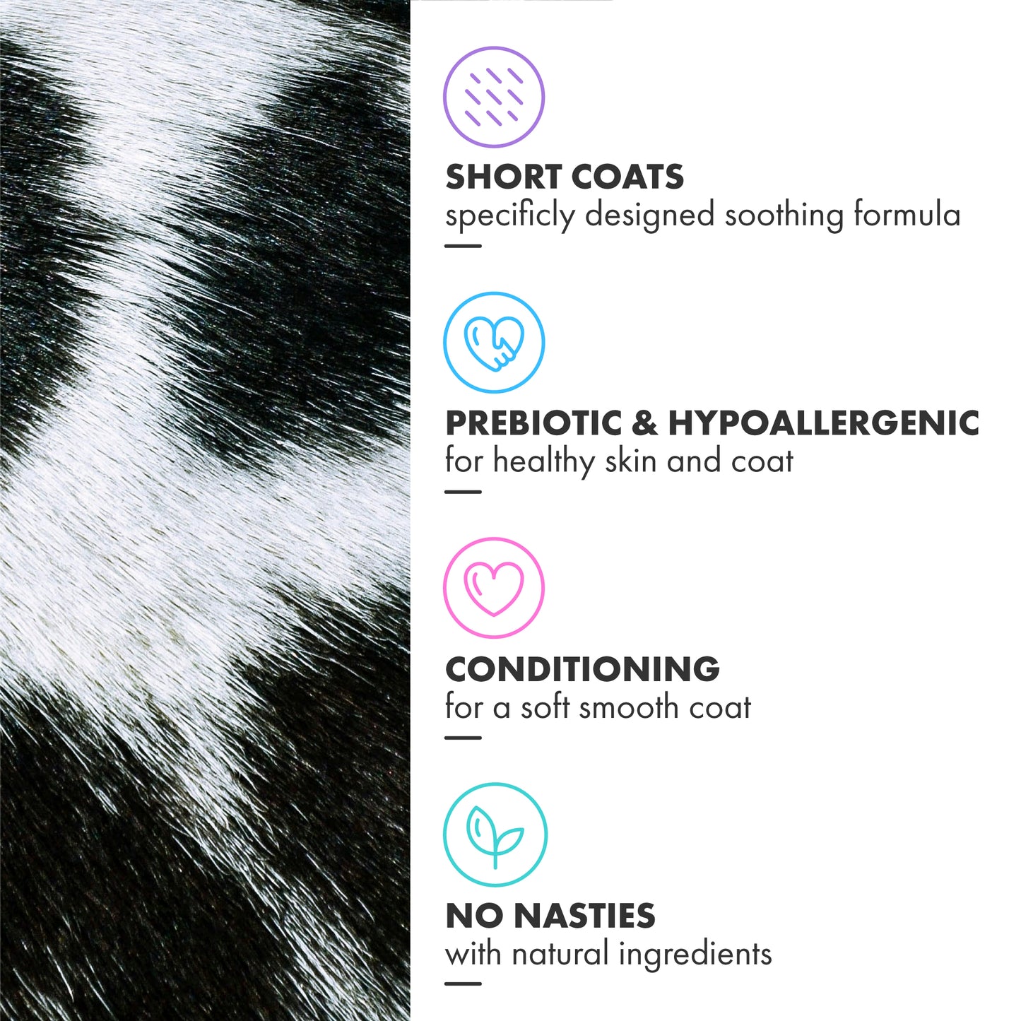 Short Coat Shampoo