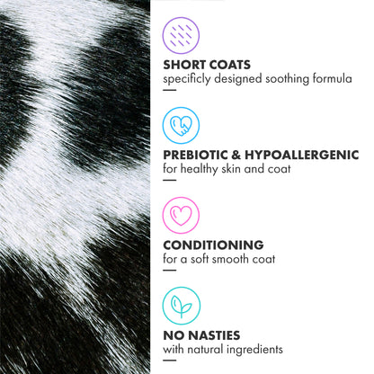 Short Coat Shampoo