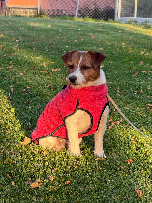Ken Jumper