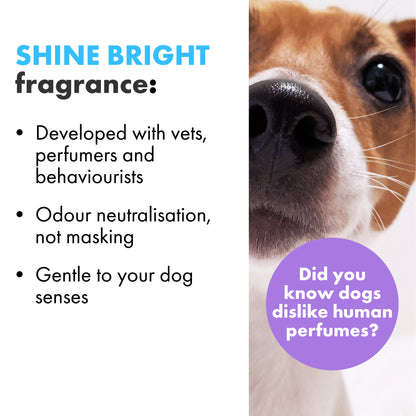 Deodorising Spray For Dogs And Home