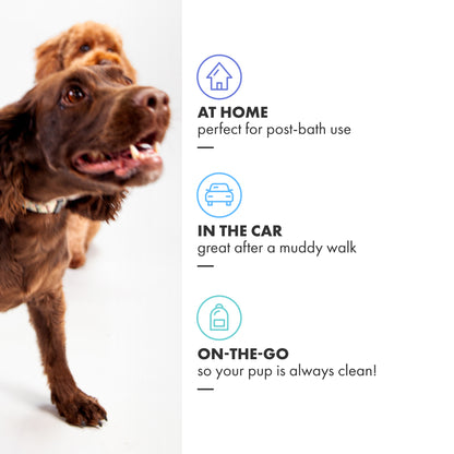 DotDotPet - Eco Dog Drying Towels