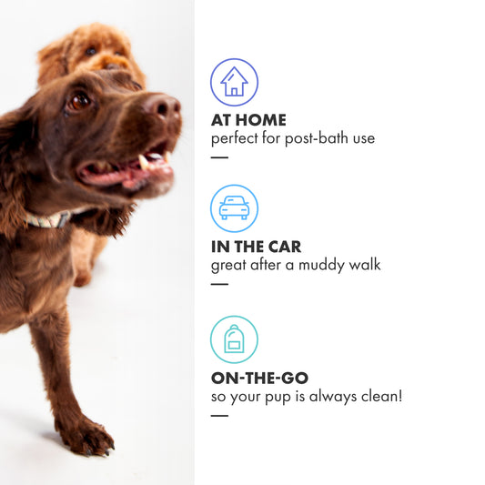 DotDotPet - Mini Eco Dog Drying Towels