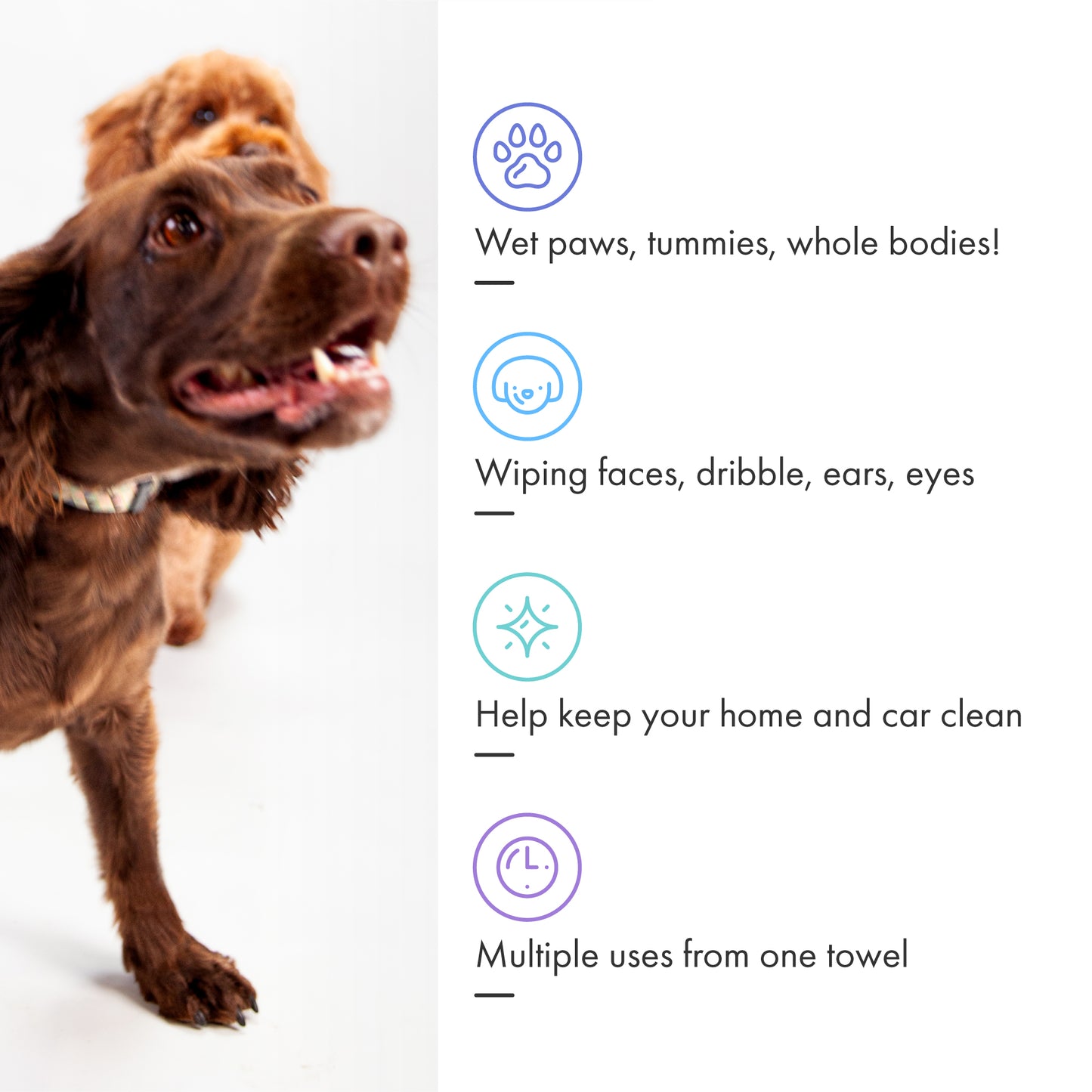 Mini Eco Dog Drying Towels