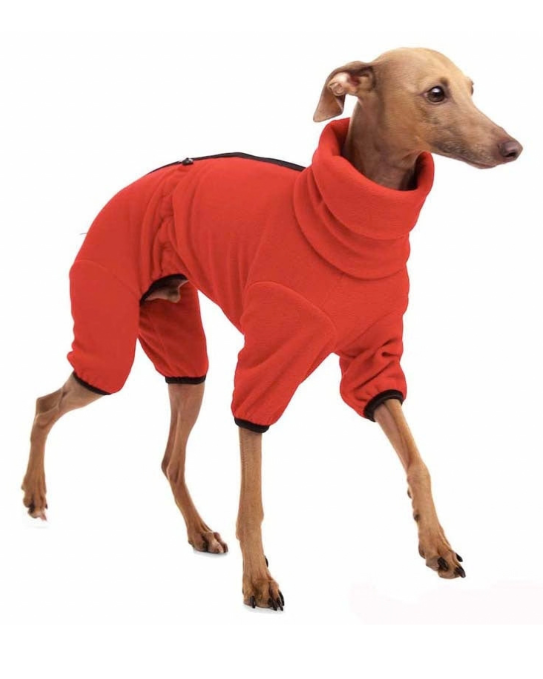 Figaro Fleece