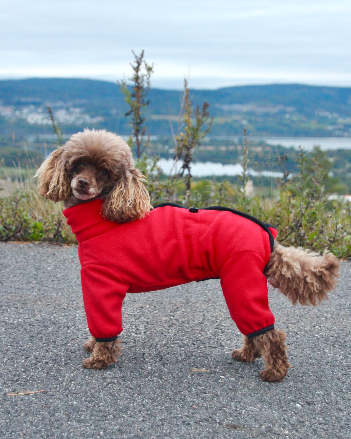 Figaro Fleece