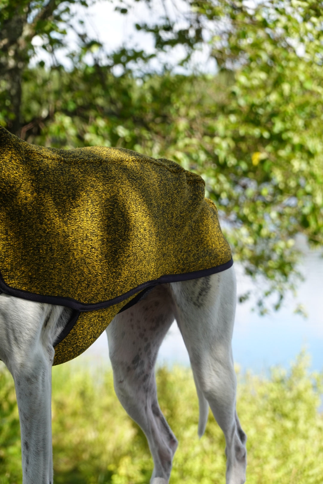 Kevin Jumper 02 Mustard