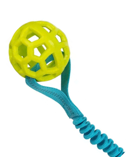 Hundeleke Bungee tau med ball