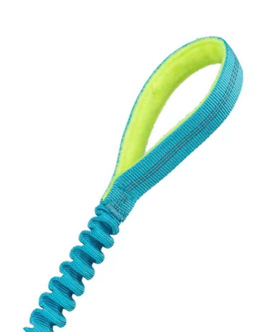 Hundeleke Bungee tau med ball