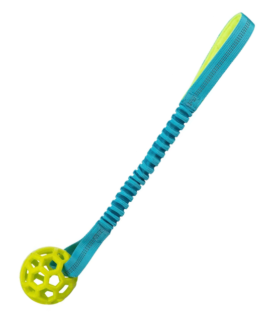Hundeleke Bungee tau med ball