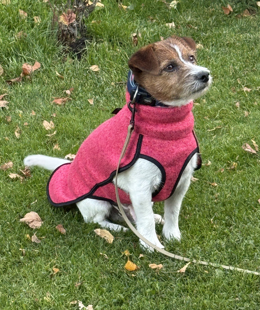 Ken Jumper